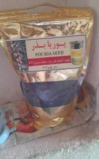 بذر پیاز سفید مینروا