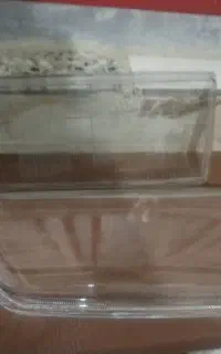 شیشه جلو 405