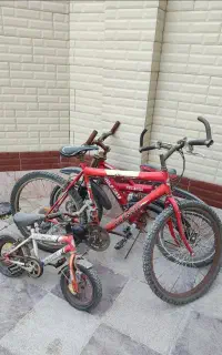 دوچرخه