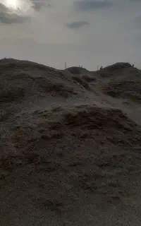 کاه