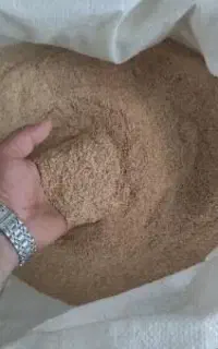 سبوس گندم