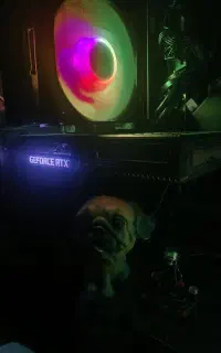 RTX 3060 12GB OC