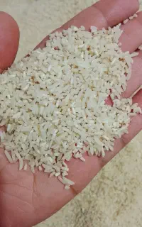لاشه فجر