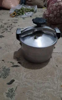 دیزی زودپز بزرگ