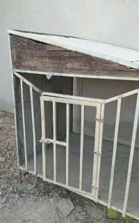لونه سگ