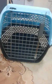 باکس وپارک سگ