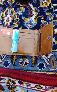 سلام مدارک پیدا شده
