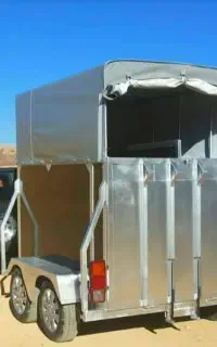 خرید وفروش اسب