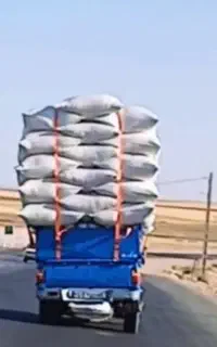 کاه تازه