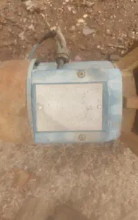 دو اسب   تازه. اماده