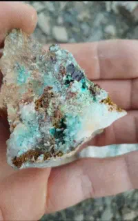 استخراج و تست سنگ طلا تخصصی