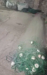 تور صبور