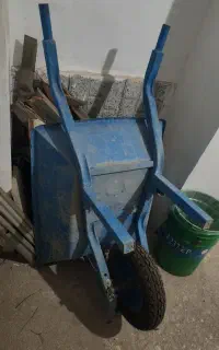 فرقون