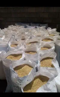 جو محلی قیمت 54500
