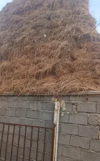 یونجه بدل اباد