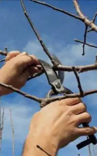 خدمات زراعی و باغبانی  با مدرک و تجربه بالا