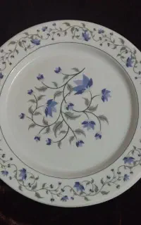 ۲۴عدد ظرف ملامین و۳عدیس گل سرخی
