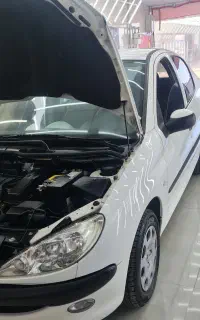 206SD V8 سفارشی آریان فرانسه مدل 90 استثنایی