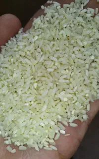 برنج نیم دانه(دوقد) لنجان