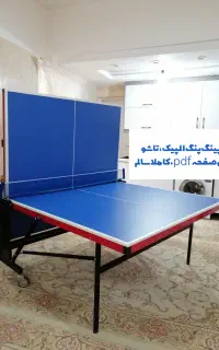 میز پینگ پنگ المپیک
