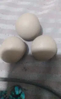 الماس اسیاب