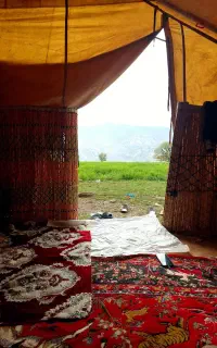 چادراطاقی 20متری
