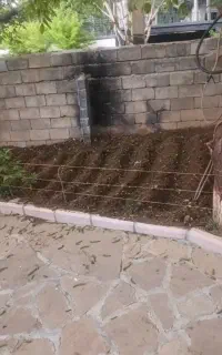 اردک پکنی ۳ عدد