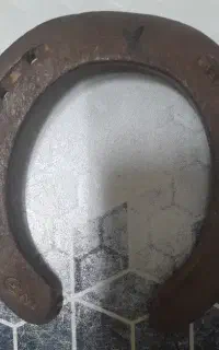 نعل اسب