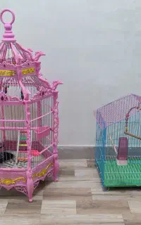 قفس پرنده