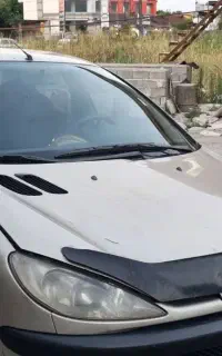 ماشین ۲۰۶ دور رنگ