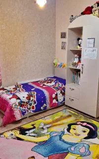 ۲عدد گلیم فرش
