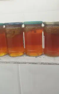 عسل طبیعی و خالص بشاگرد