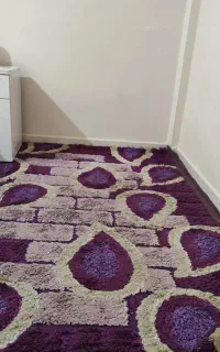 قالی پرز بلند