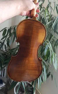 ویولن کورلی Violin Corelli M408-D