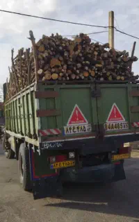 هرس خرید چوب و قطع درخت