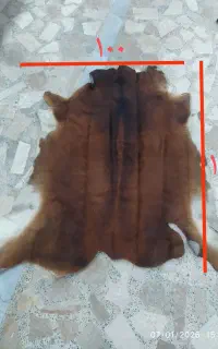 پوست گاو دباغی شده