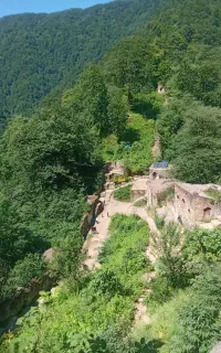 رنگین