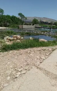 تور ماهیگیری