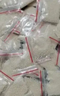 پودر شپش خورموج