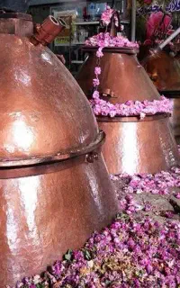 گلابچی . فروش ویژه عرقیات عمده