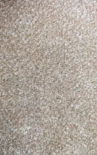 موکت پرزدار نویان