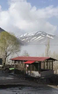 بازار یاب