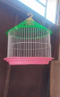 قفس