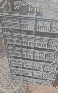 سبد ۱۰ کیلویی