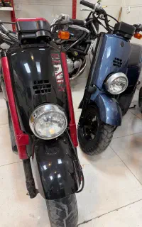 انواع پاکشتی ژاپنی