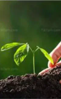 ثبت شرکت کاف