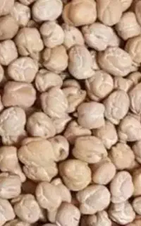 نخود