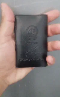 پیدا شده