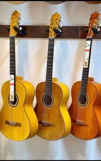گیتار پارسی،  شروع یادگیری