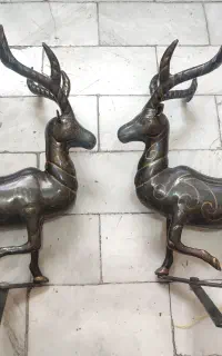گوزن علامت و علم